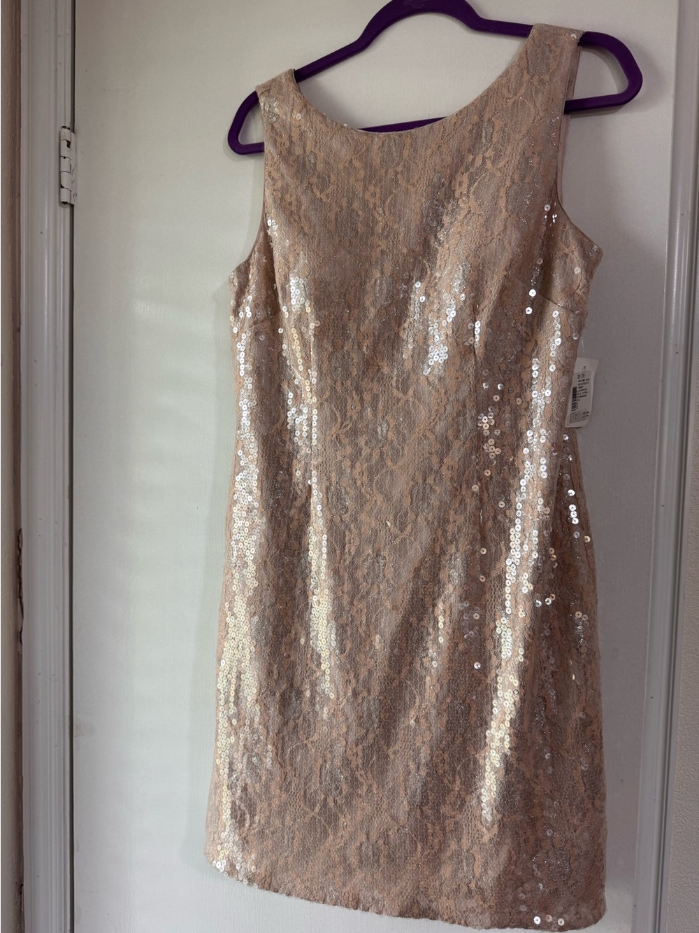 Saks Fifth Avenue Champagne Sequin Lace Mini Dress